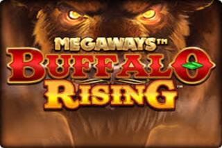 Buffalo Rising All Action Megaways